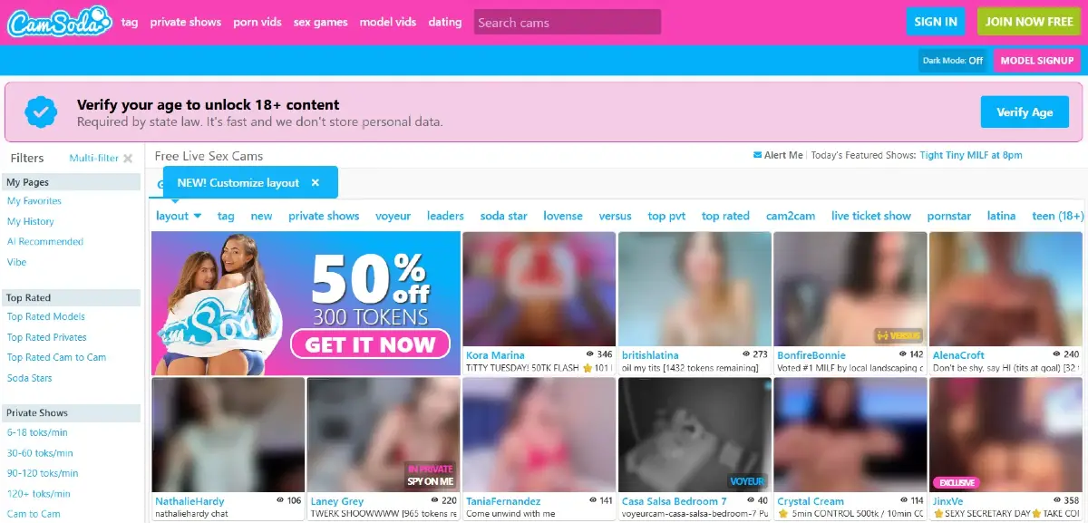 CamSoda age verification banner shown to users accessing the site from a US IP address