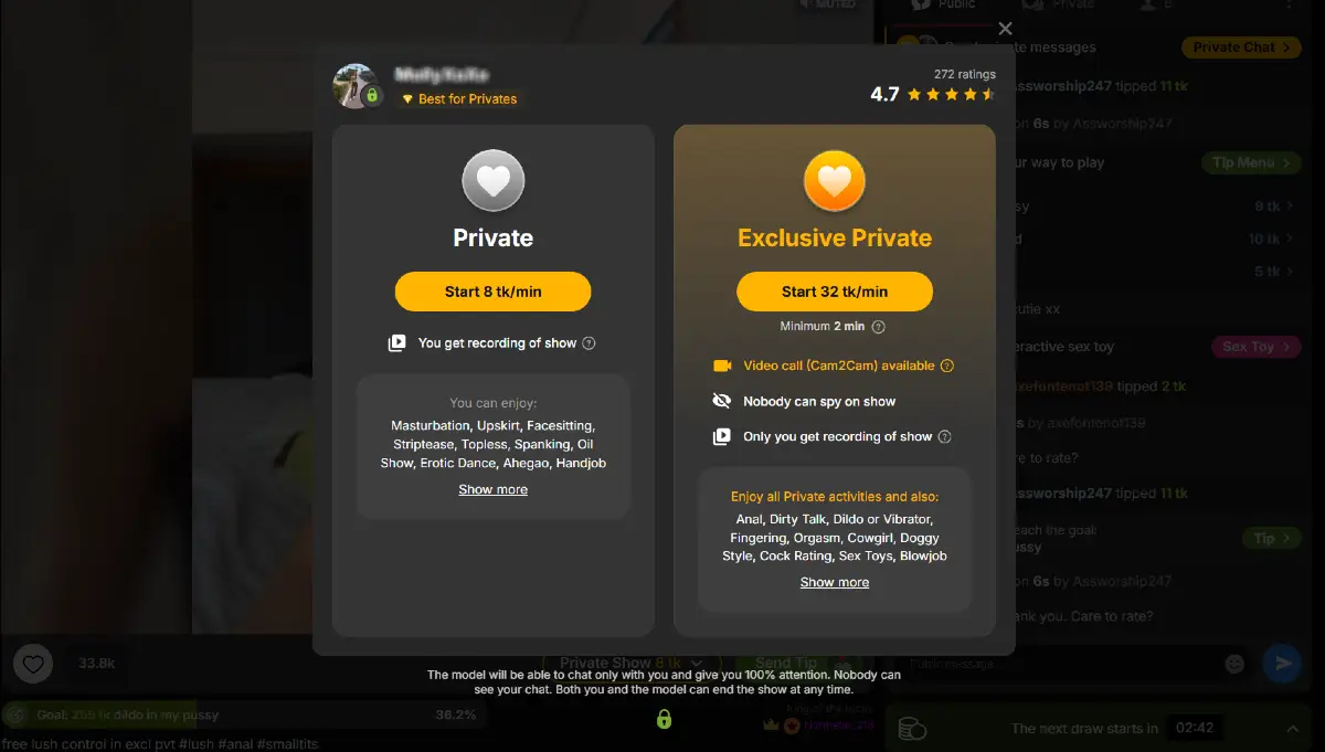 Stripchat low-cost private show with Private at 8 tokens per minute and Exclusive Private at 32 tokens per minute