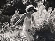 Several vintage teenagers showing their fine body parts