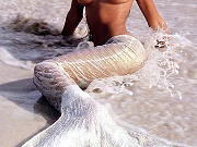 Mermaid Stephanie Seymour