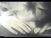 Antique Cock Sucking Video From The Golden Vintage Times